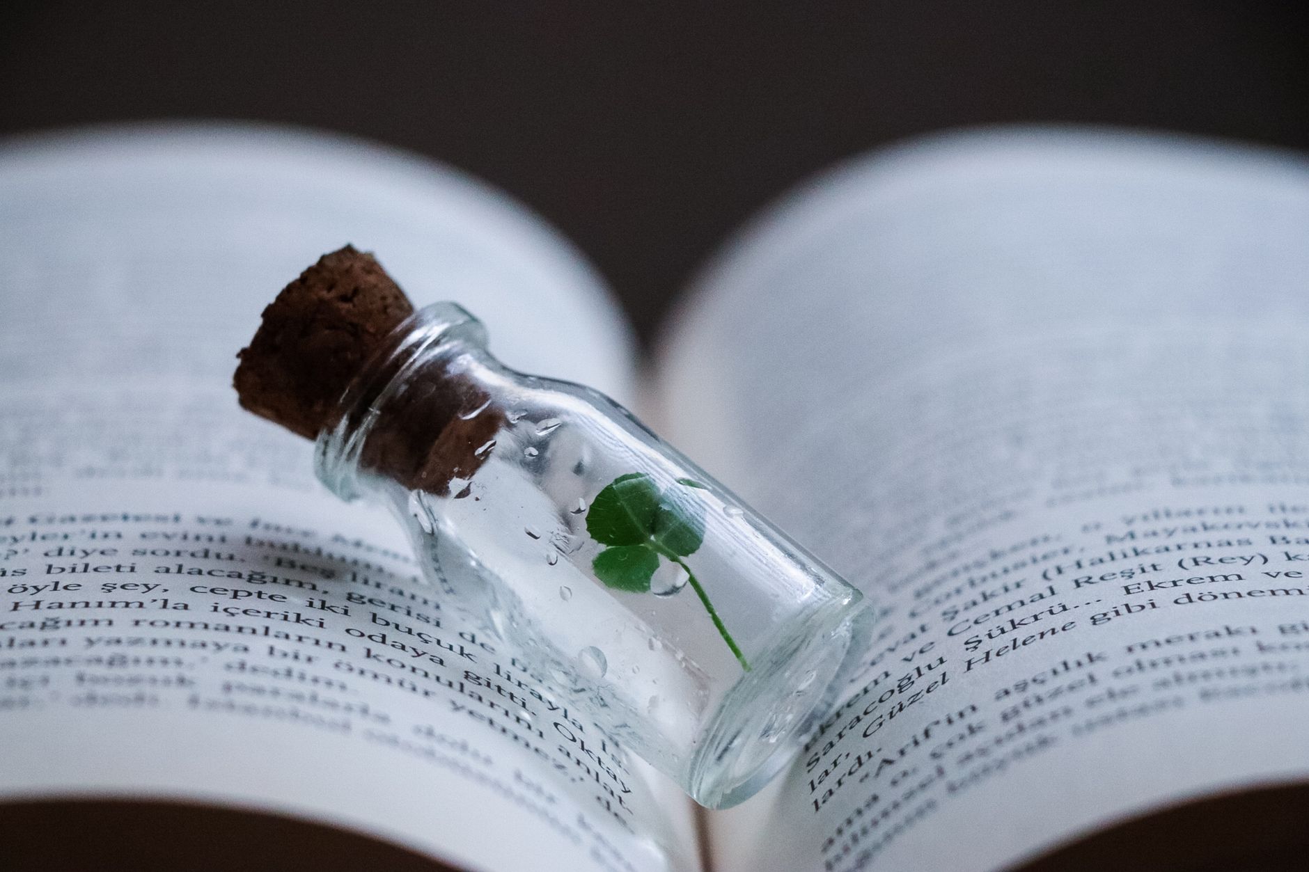 Czym jest symbolizm w literaturze? Definicja, cechy i przykłady